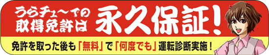 無料で何度でも運転診断「永久保証」