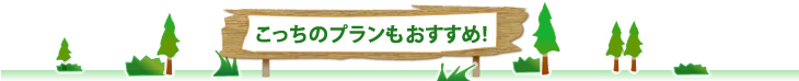 こっちのプランもおすすめ！