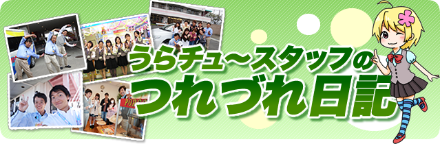 スタッフブログ